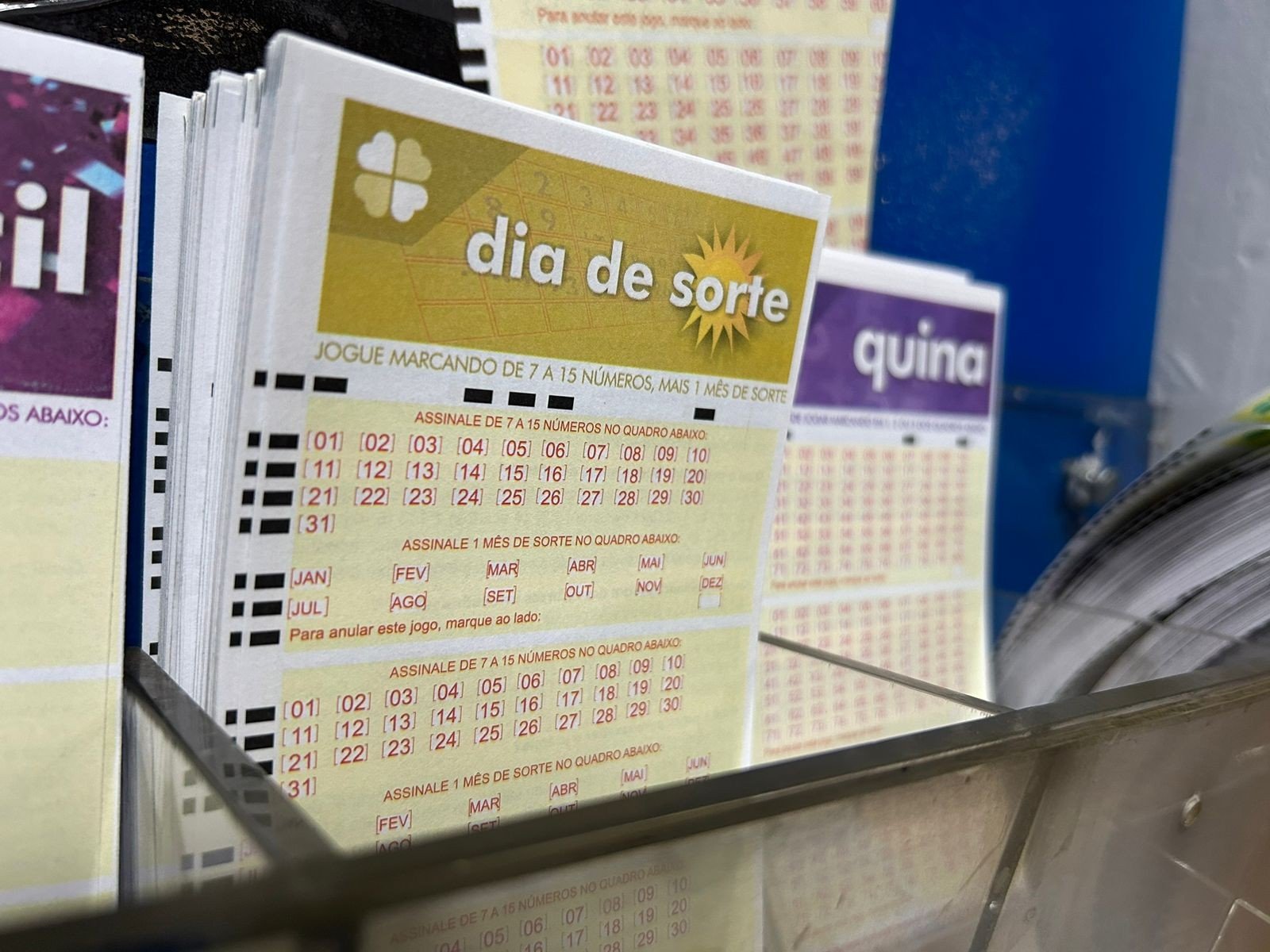 Dia de Sorte hoje: resultado do concurso 1335 e números sorteados