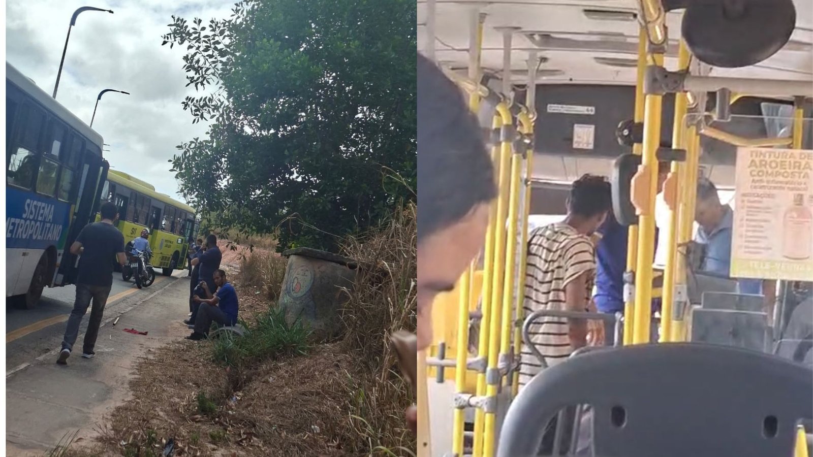 Vídeo mostra o momento em que motorista de ônibus é agredido por vendedor ambulante